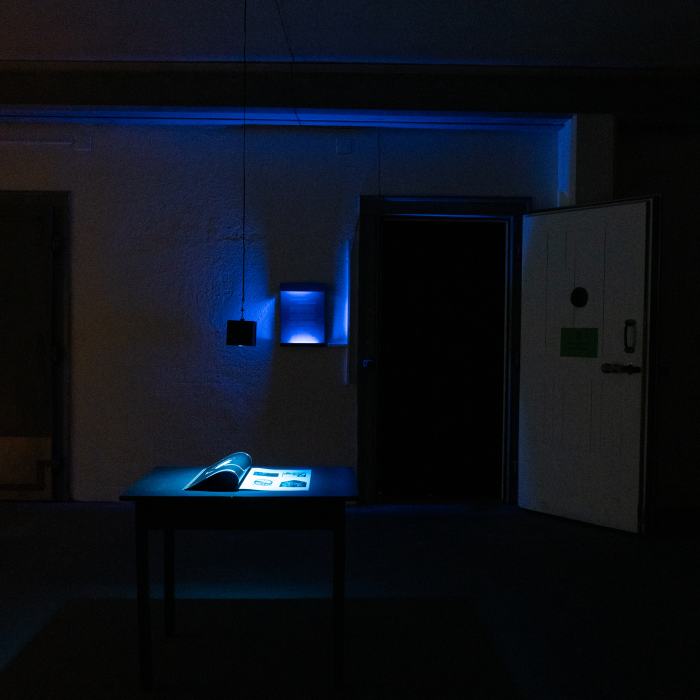 Carolina Opazo, Inverse magnetism / Magnetismo inverso, 2021, travail de Master. Photo: Laura Morier-Genoud / EDHEA