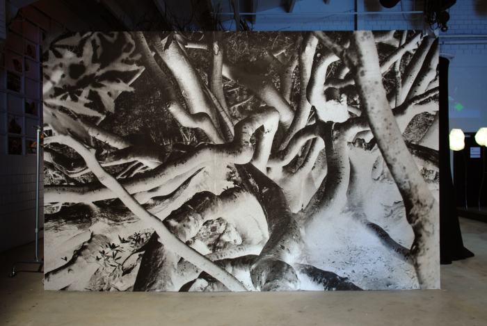 © Maëlle Cornut / EDHEA